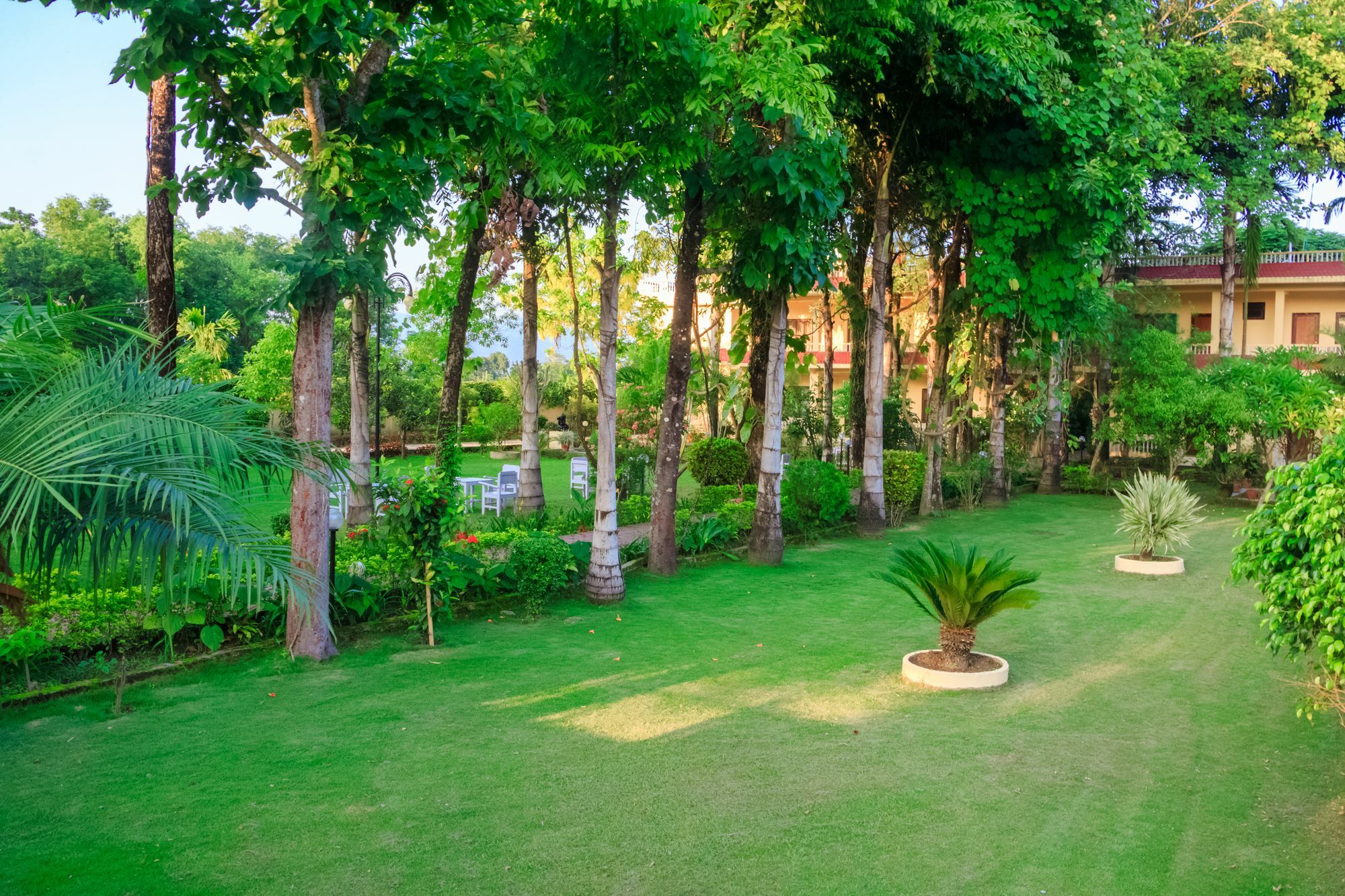 Hotel Rainforest Sauraha Exterior foto